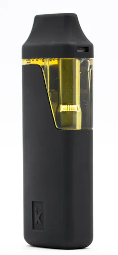 Permanent Marker Disposable-2
