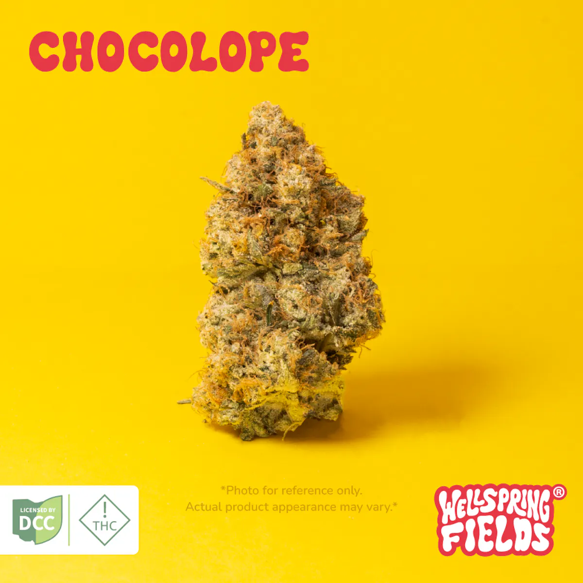 キョエンゴロー Chocolope 2.83g Flower | Wellspring Fields |
