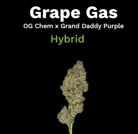 Product Fathom | Grape Gas | Preground