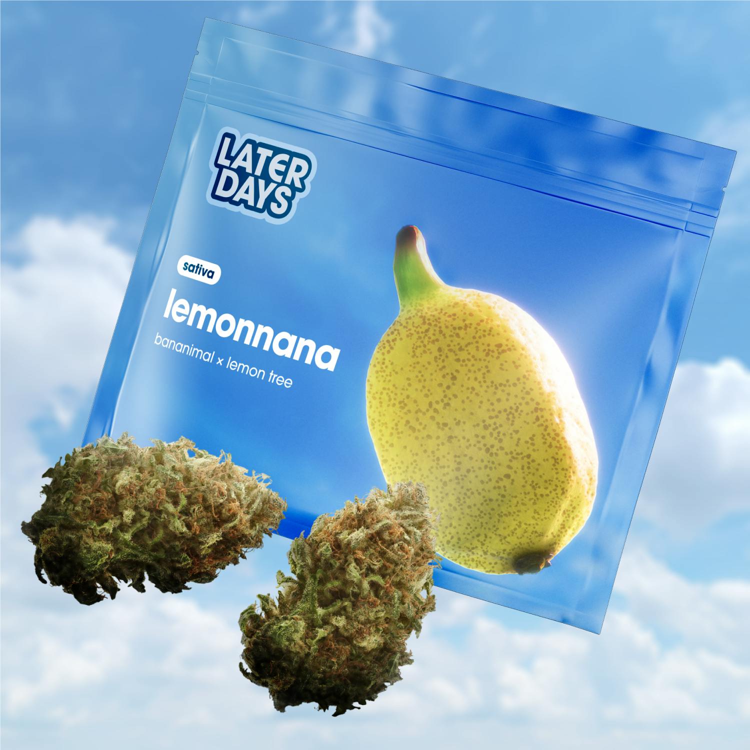 Later Days Lemonnana