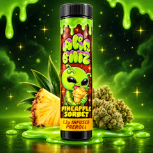 Alien Brainz - 1.2g Infused Preroll - Pineapple Sorbet - PRE_ROLLS by Alien Brainz at King of Budz
