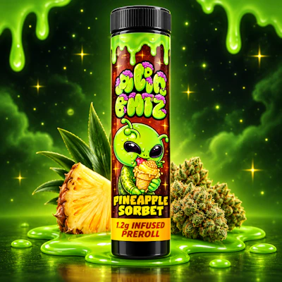 Alien Brainz - 1.2g Infused Preroll - Pineapple Sorbet - PRE_ROLLS by Alien Brainz at King of Budz