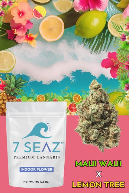 Photo of 7 Seaz – Maui Waui x Lemon Tree (Half)
