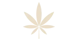 Flower category image
