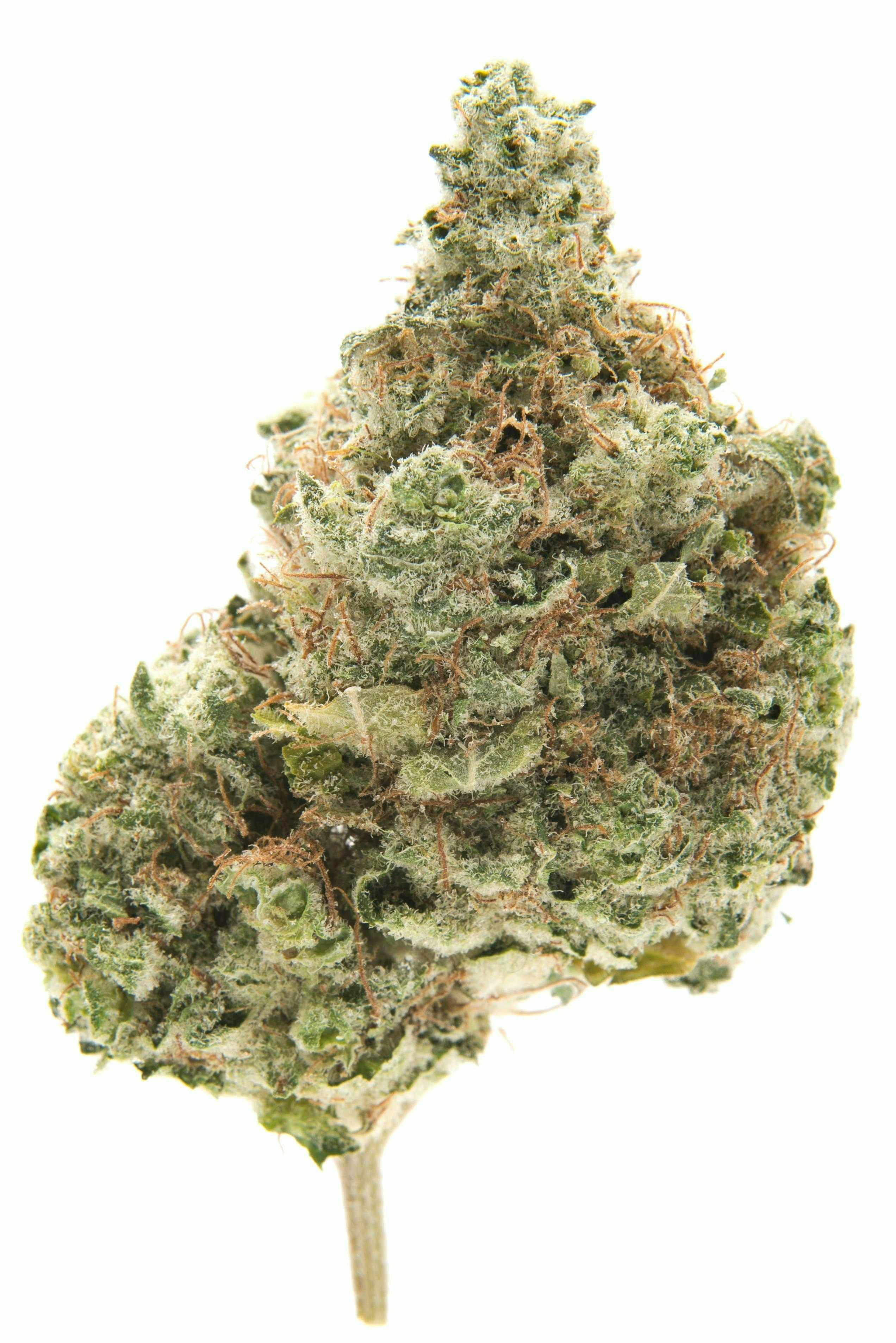 Highway Horticulture HIGHWAY HORTICULTURE | HASHPLANT | BULK | INDICA/HYBRID — FLOWER