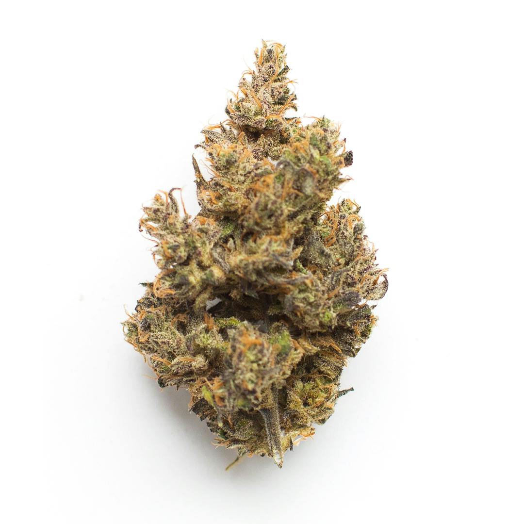 Product The Pass - Jungle Pie Flower (3.5g)