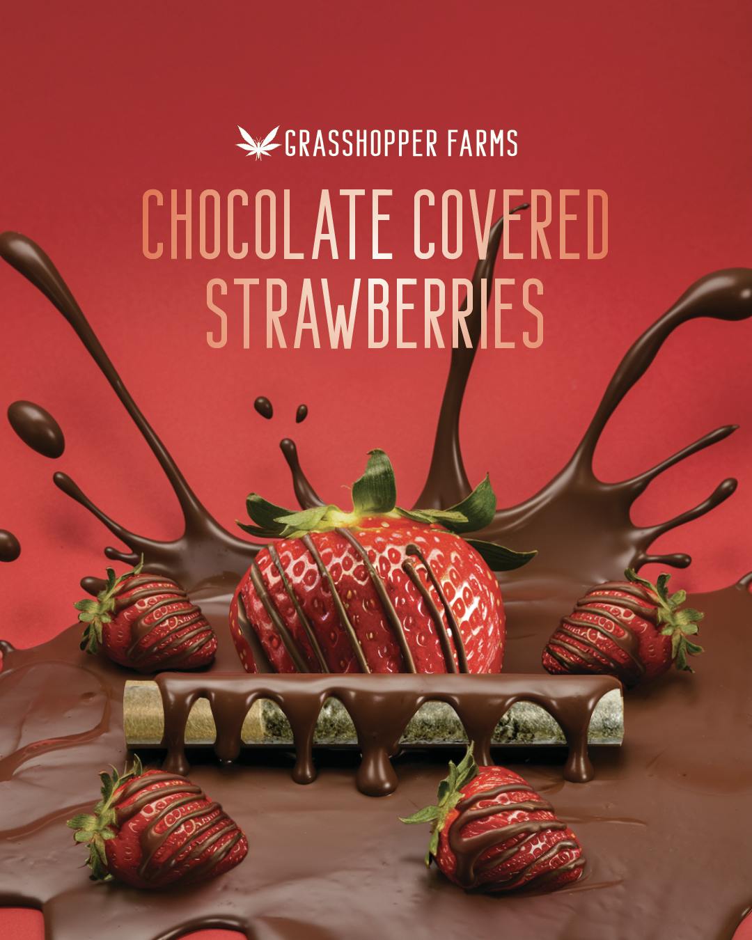 Product: Grasshopper Farms | Chocolate Covered Strawberry | Infused Pre-roll | 1g | Indica
