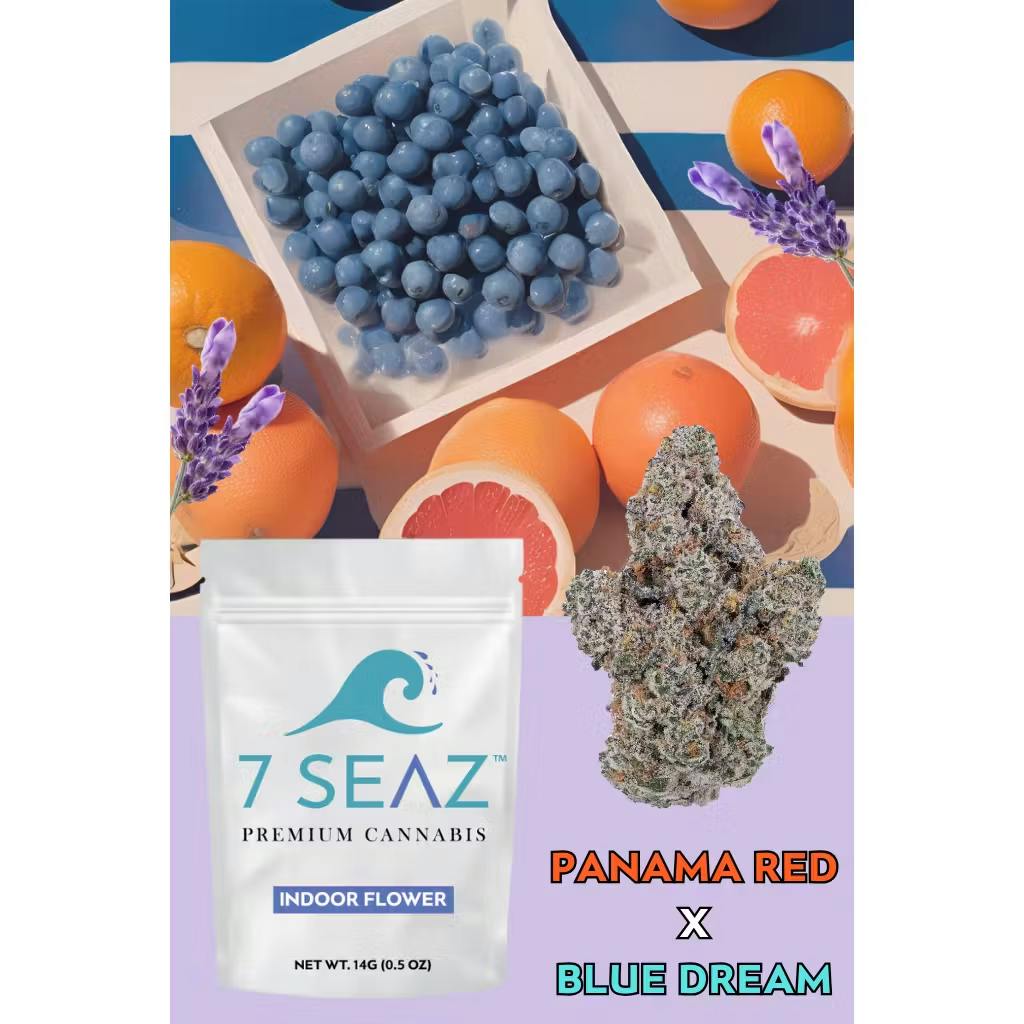 Photo of 7 Seaz – Panama Red x Blue Dream (Half)