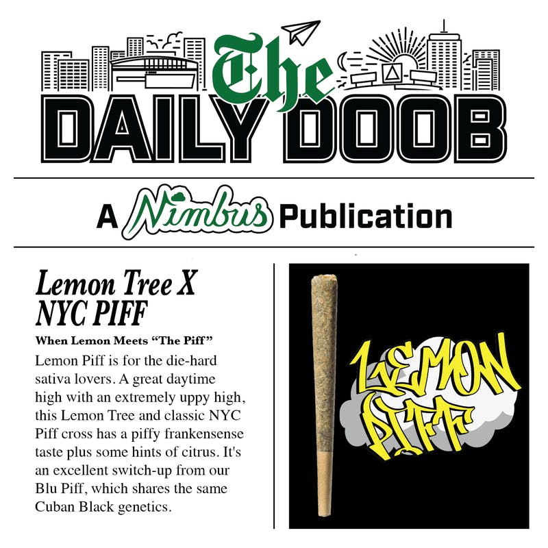 Buy Nimbus Lemon Piff | Pre-Roll | 0.5g for Sale - Quincy Cannabis Co