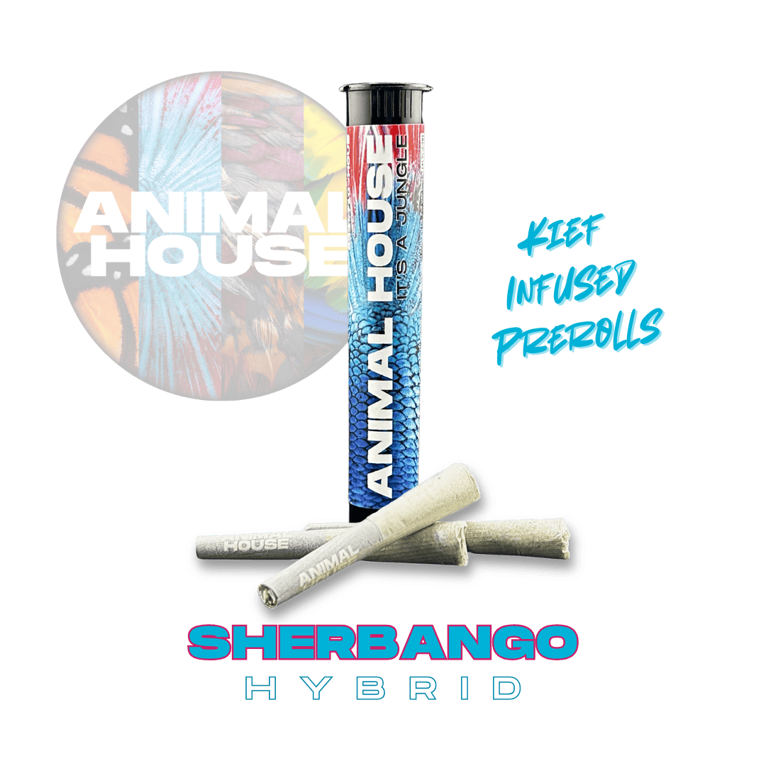 Animal House | Sherbango | Infused | 3ct | 1.5g