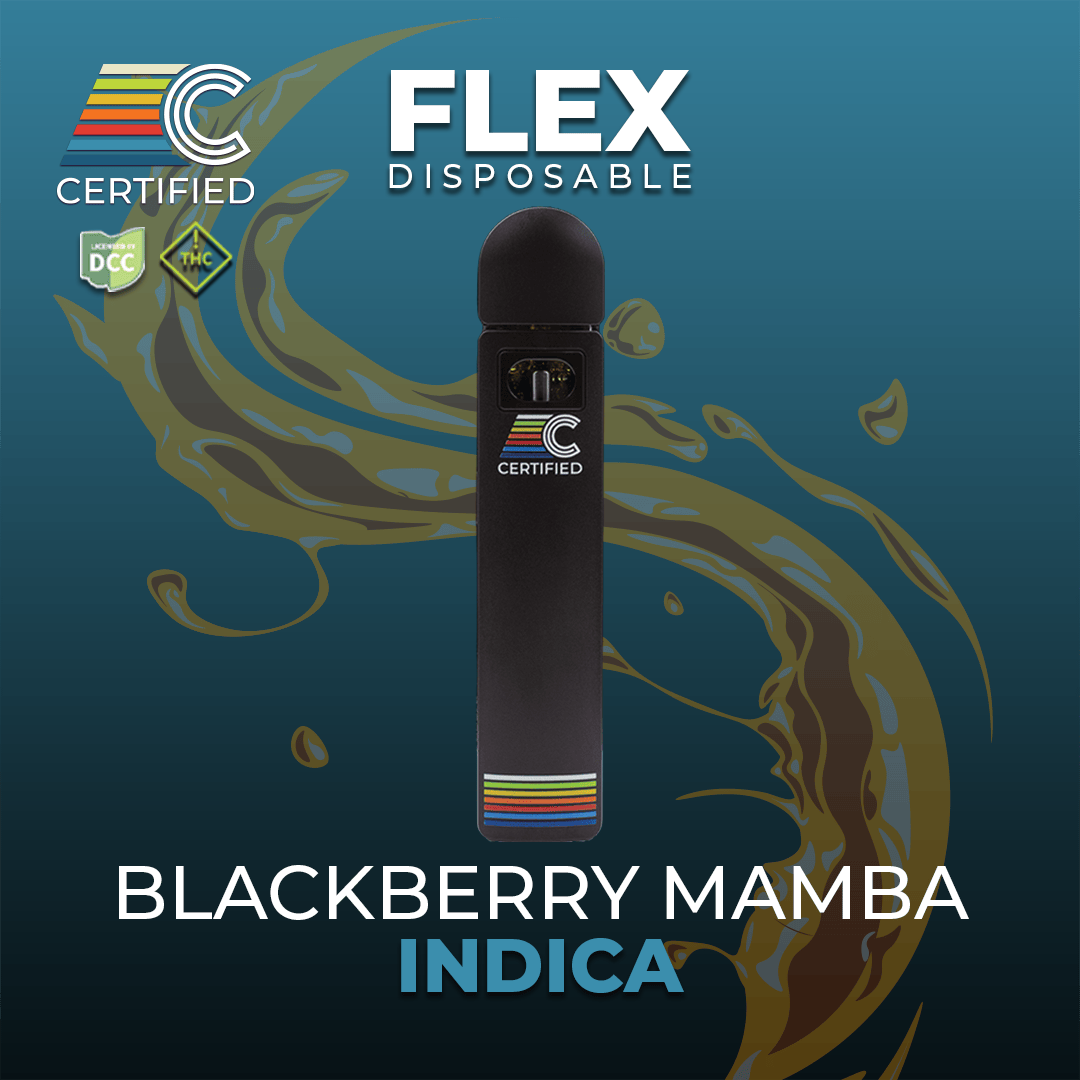 elfbar elfa master akku Ghost - Black Mamba - Disposable Vape - 2g - 2g by Ghost main image 1