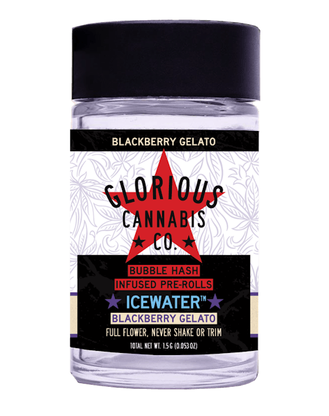 Product: Glorious Cannabis Co. | Blackberry Gelato Icewater Bubble Hash Infused Pre-Roll 3pk | 1.5g