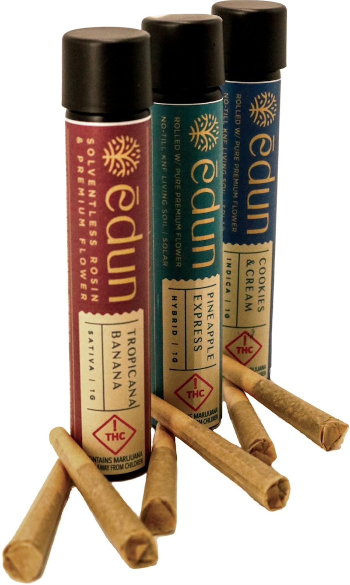 Photo of Edun – Live Rosin Pre-rolls – Cherry Punch x Tropicanna Bananas 2pk (S)