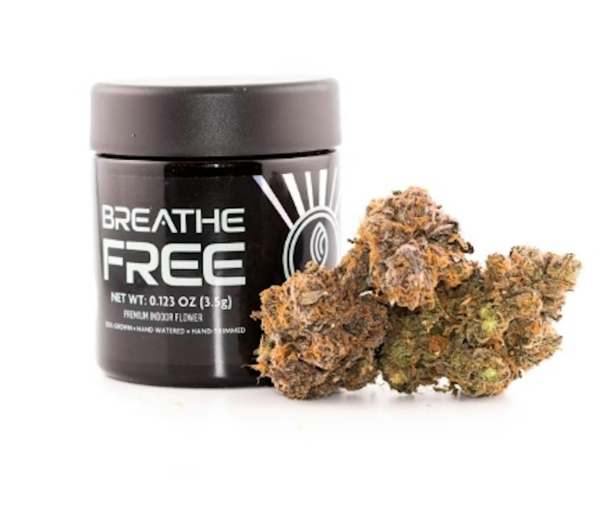 Photo of Blueberry Resurrection Flower Breathe Free