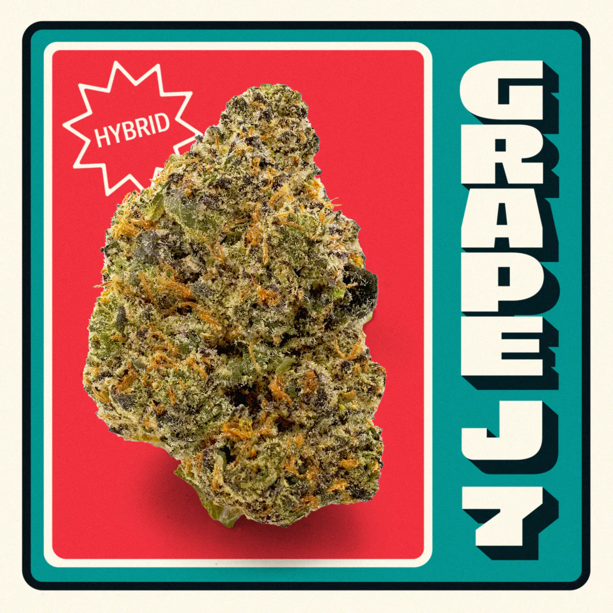 Grape J #7 | Hybrid | [3.5g] at Terrasana - Middletown