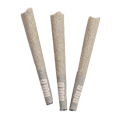 Pre-Roll | BOLD - Root Beer Float Pre-Roll - Indica - 7x0.5g