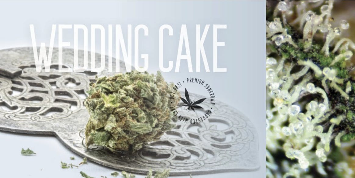 Grasshopper Farms | Bulk Bud - OG Kush