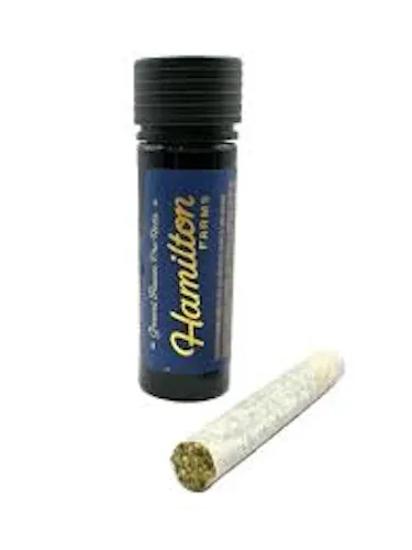 Garlic Knots Pre-Roll 2-Pack-5