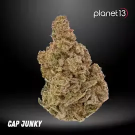 Cannabis Flower | Planet 13 Jacksonville