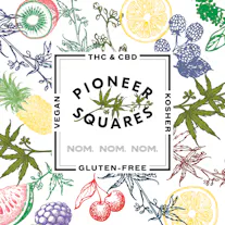 Pioneer Squares Logo