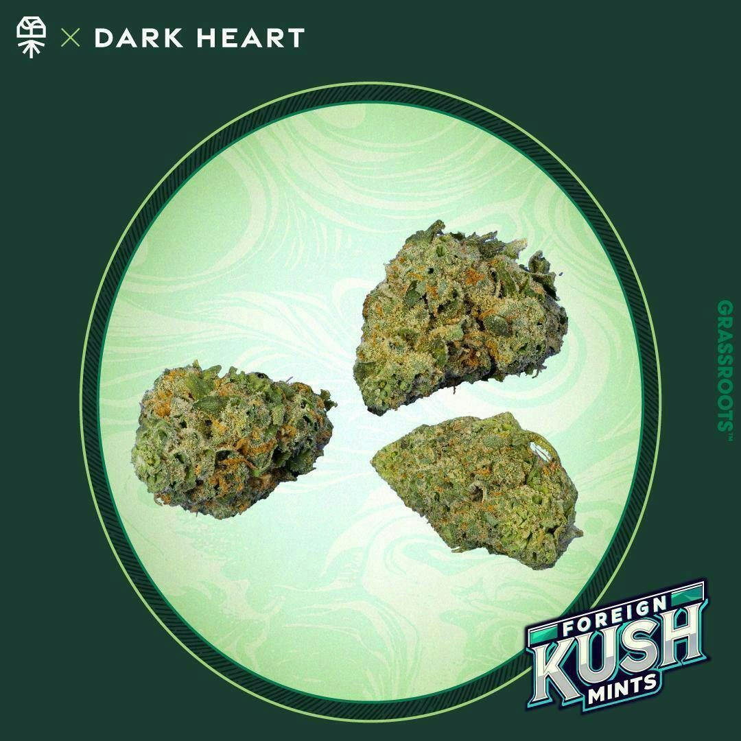 Grassroots Foreign Kush Mints 14g Dark Heart Smalls Flower