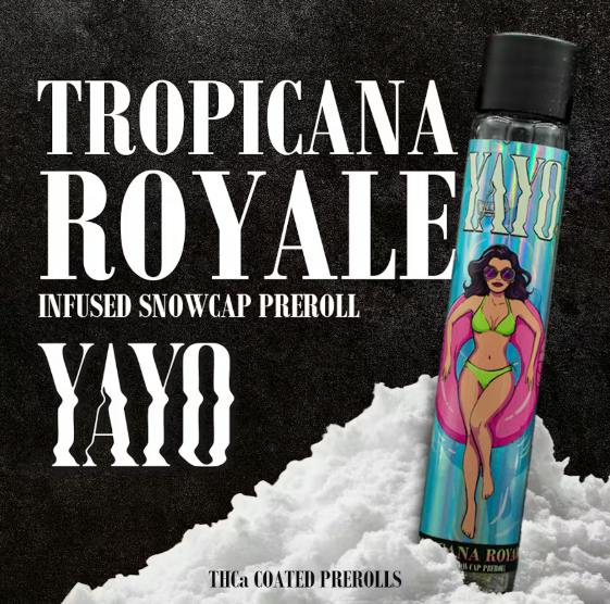 Yayo Tropicana Royale - Snowcap Infused Pre Roll Sativa by Nura Cannabis – Pre-Rolls at Gatsby Cannabis