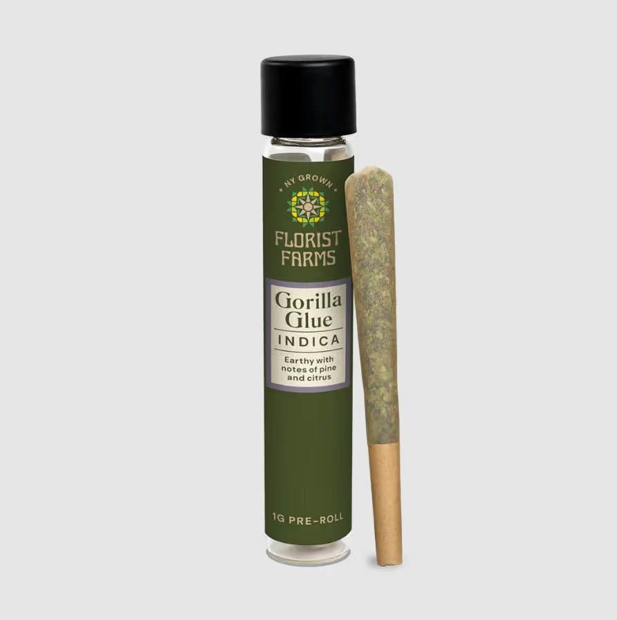 Florist Farms Gorilla Glue