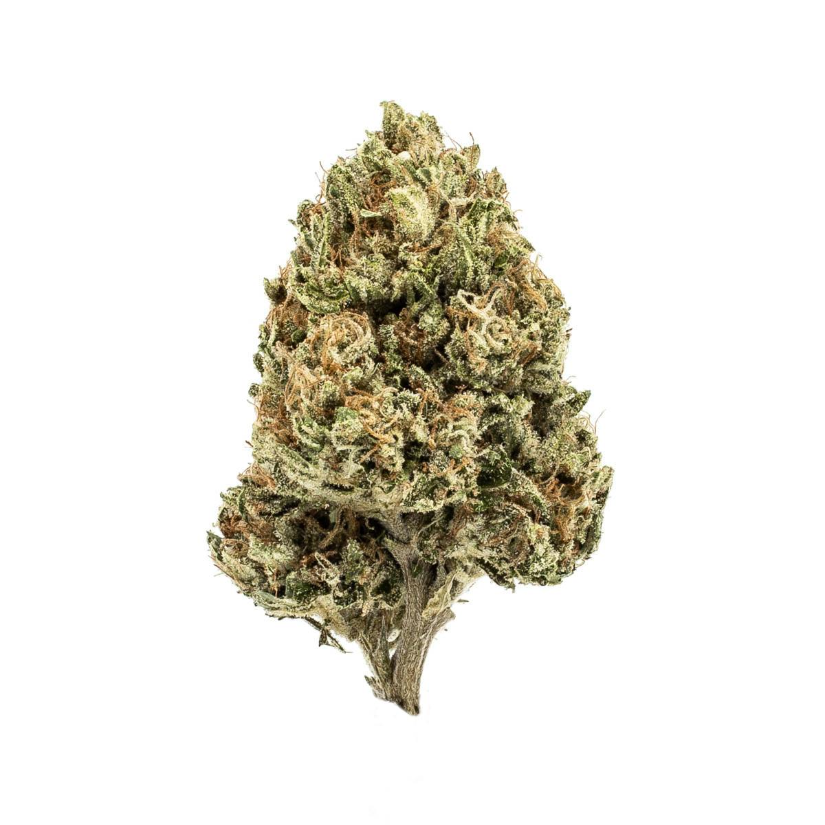 Photo of Popcorn Shelf – Orange Kush (H)