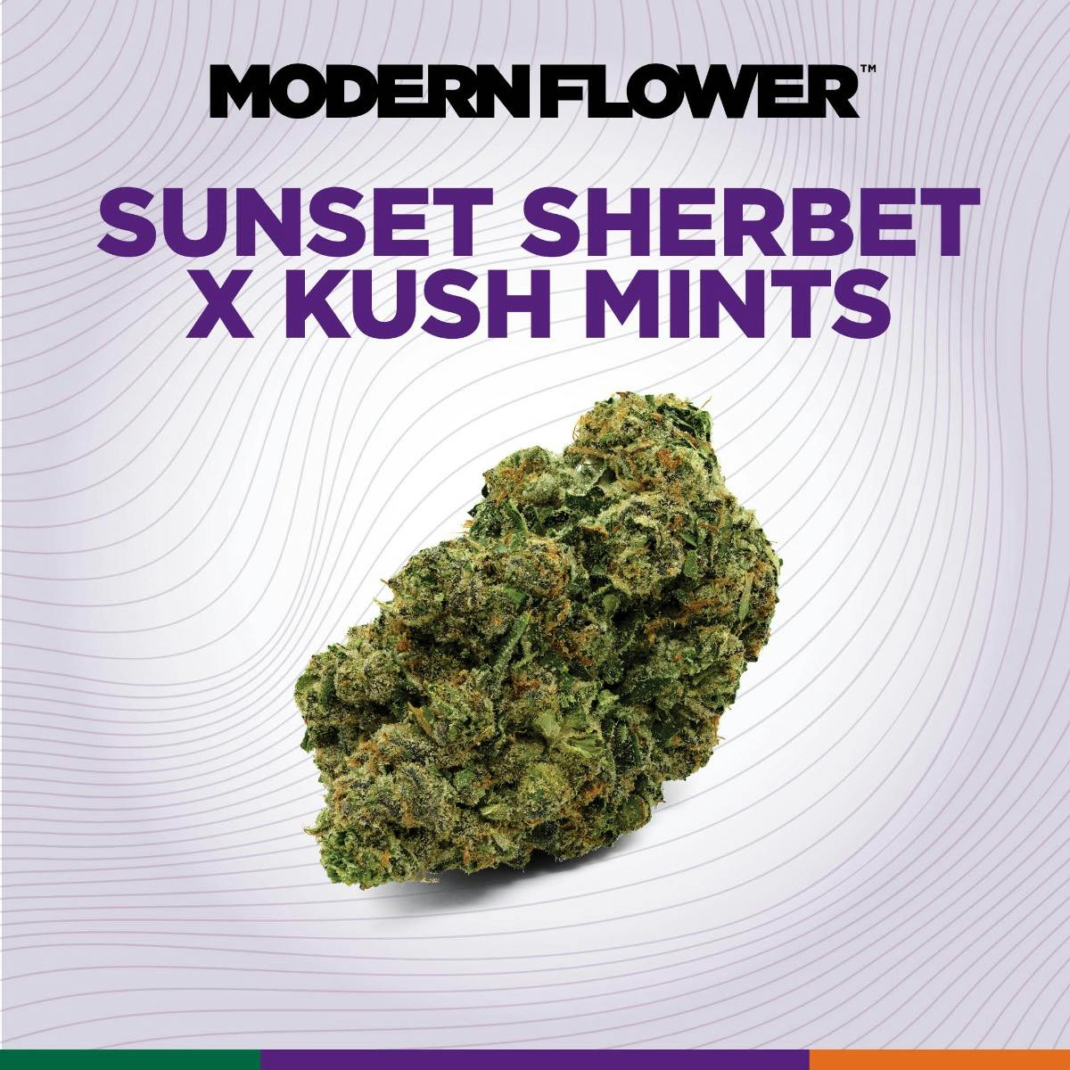 Sunset Sherbert x Kush Mints - 3.5g