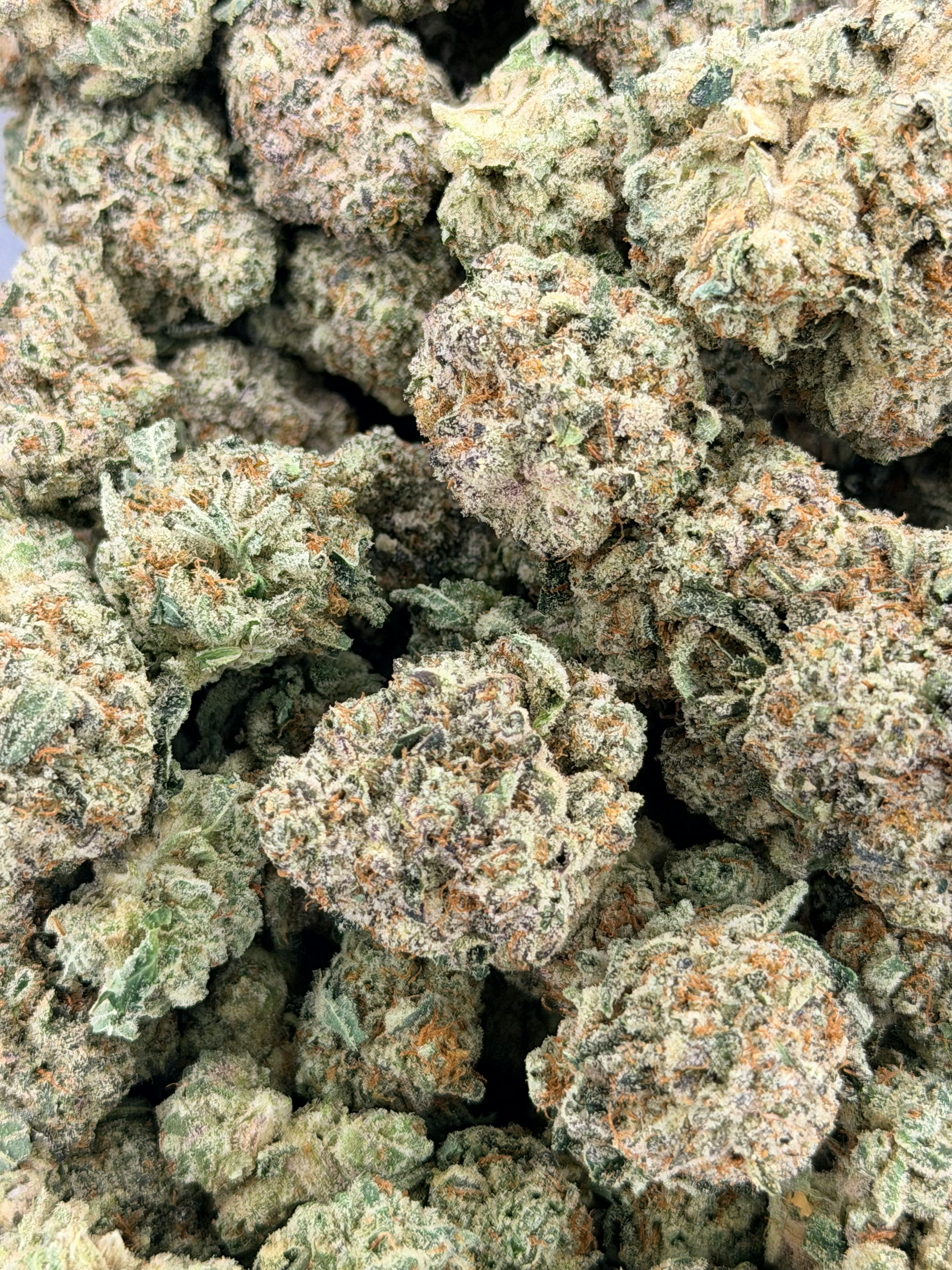 Pave | Deli Flower (Silver)