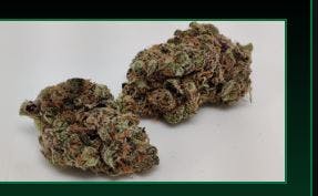 Product Tokyo Jif Buds