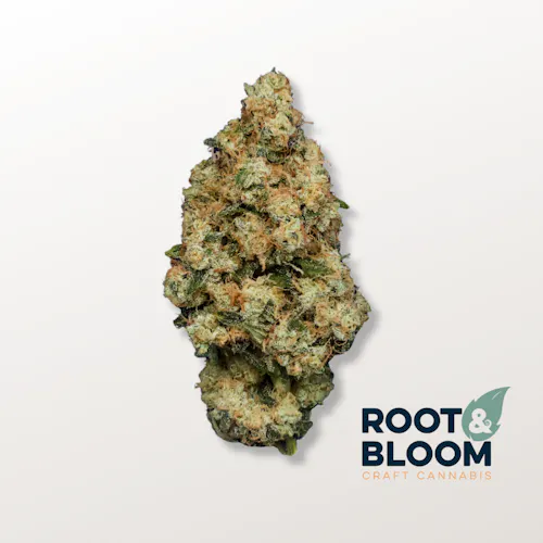 Root & Bloom Ghost Dawg 14g-active