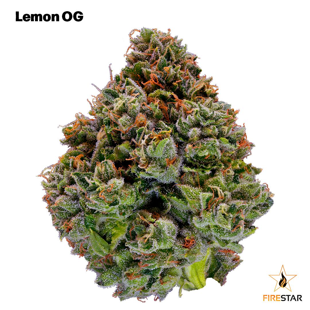 Cannabella - CBD Lemon Drops - Essence Cannabis Dispensary