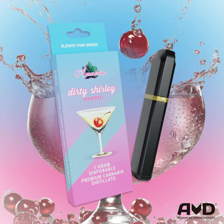 Amnesia - 1g Disposable - Dirty Shirley - product image at King of Budz