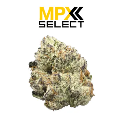 MPX Select Strawberry Limeade Flower | GrowHealthy