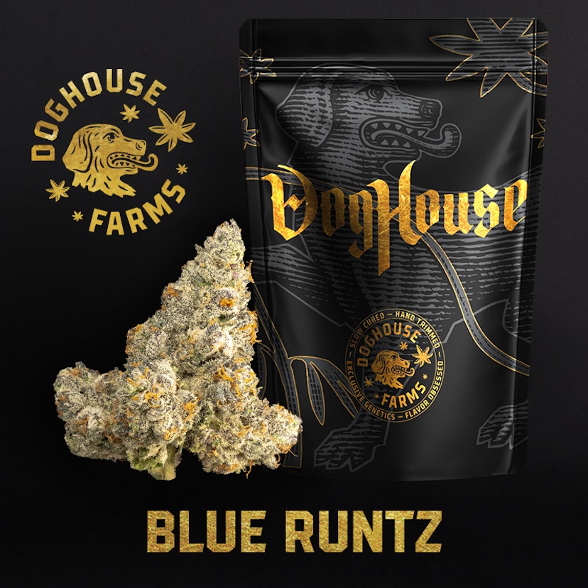 DogHouse Flower Blue Runtz