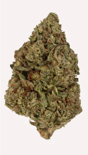 Rolling Green | Flower | Glitter Bomb | 3.5g-1