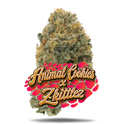 Animal Cookies x Zkittlez - Premium Flower