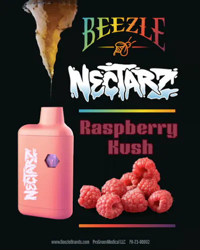 Beezle – Raspberry Kush Nectarz Disposable Vape (1g)-1