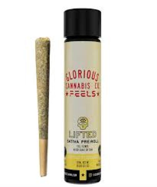 Beach Babe | 1g | Preroll | Glorious Cannabis