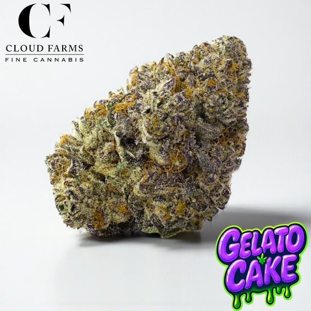 Cloud Farms | Bulk Bud - Gelato Cake