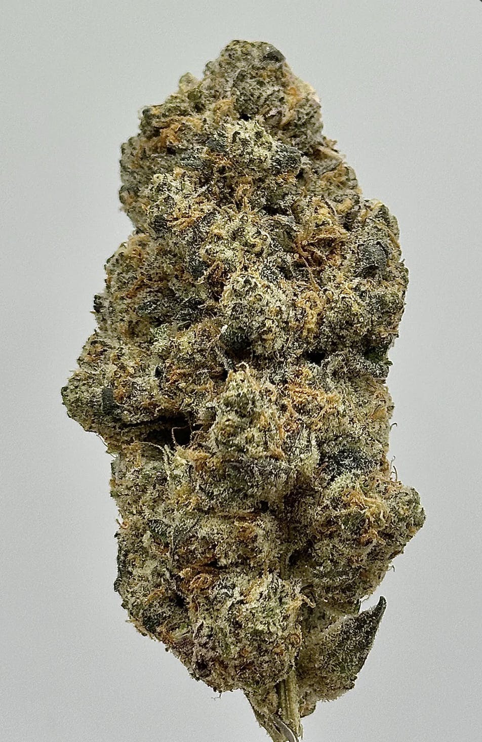 Flower | Knack | Space Station | 7g