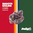 Daily! Smooth Sailing Fun Size Budz