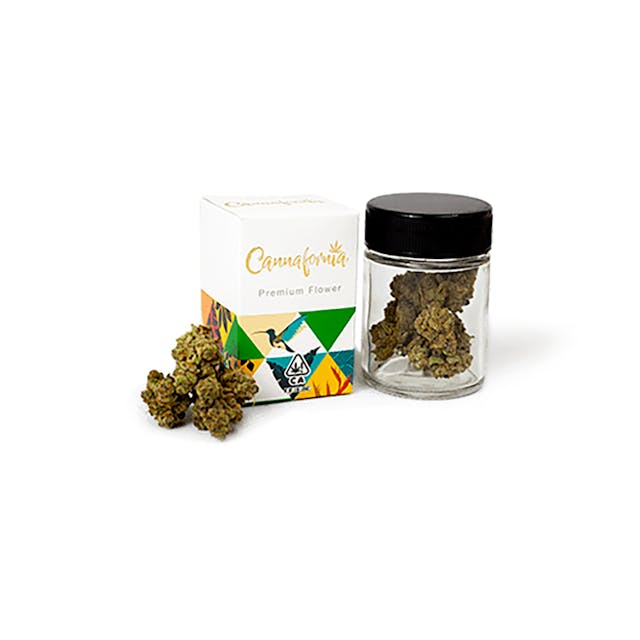 Explore our collection of premium cannabis flower, handpicked to ensure every bud is packed with trichomes and bursting with character. From soothing relaxation to energizing uplift, our carefully curated strains are designed to fit your lifestyle. Rediscover the joy of cannabis, one aromatic, flavorful flower at a time—your journey to the perfect experience starts here.