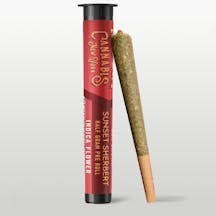 Revert | Pre Roll 0.5g | Sunset Sherbert