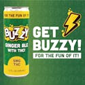 Ginger Ale (H) - 5mg Soda - Buzzy - Thumbnail 1