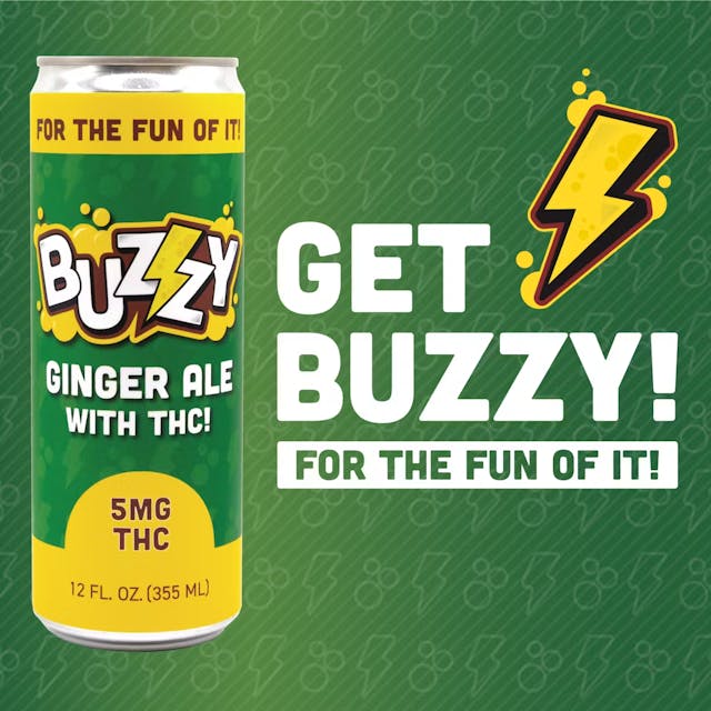Ginger Ale (H) - 5mg Soda - Buzzy - Image 1