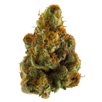Bud Bar • Aura Canna Co. • Medical & Adult-Use Dispensary in RI and MA