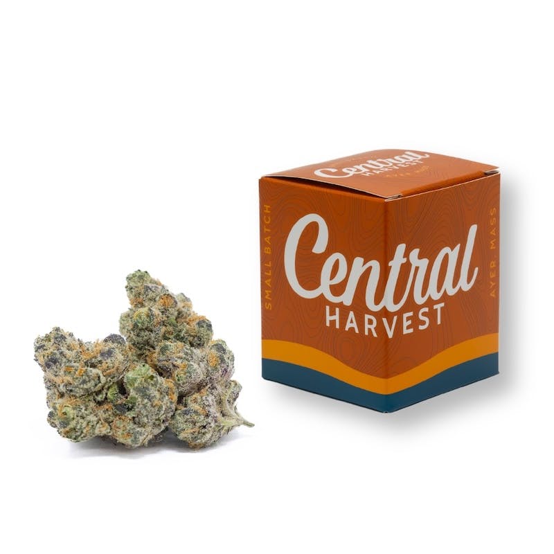 Product Central Harvest - Sour Fritter Flower (3.5g)