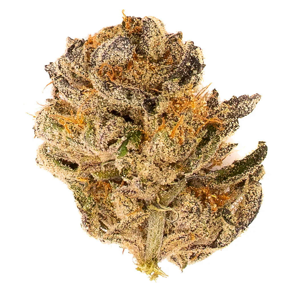 Bluebird Cannabis - Terry Fox
